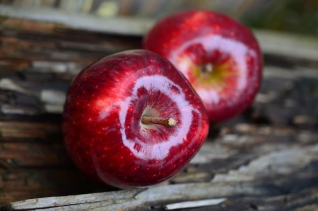 gambar buah apel