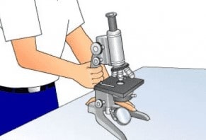 Lengan Mikroskop