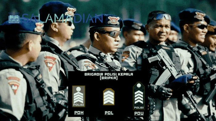 22+ Tingkatan & Urutan Pangkat Polisi Dan Lambangnya, TERLENGKAP ...