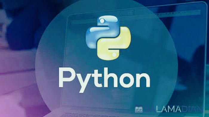 Python