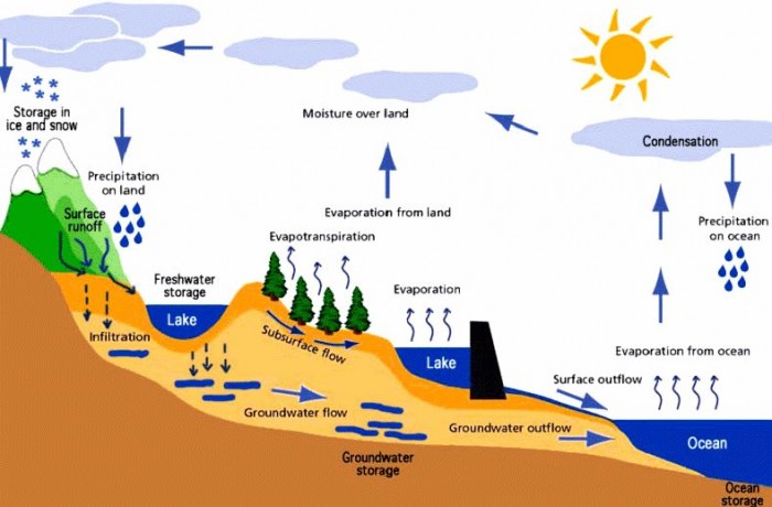 komponen siklus hidrologi