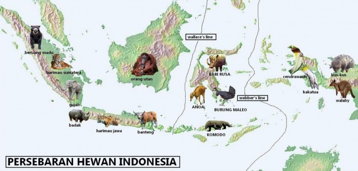 Persebaran fauna di indonesia bagian barat dan tengah dibatasi oleh garis