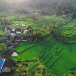 NAON Artinya : Arti Dalam Bahasa Sunda ke Indonesia & Contohnya